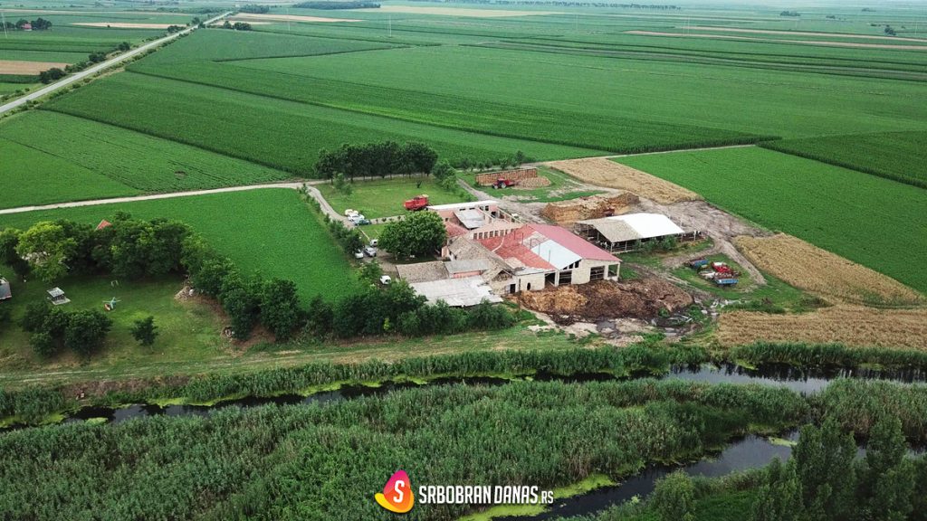 35487958_10214520921110583_7977747782037405696_n