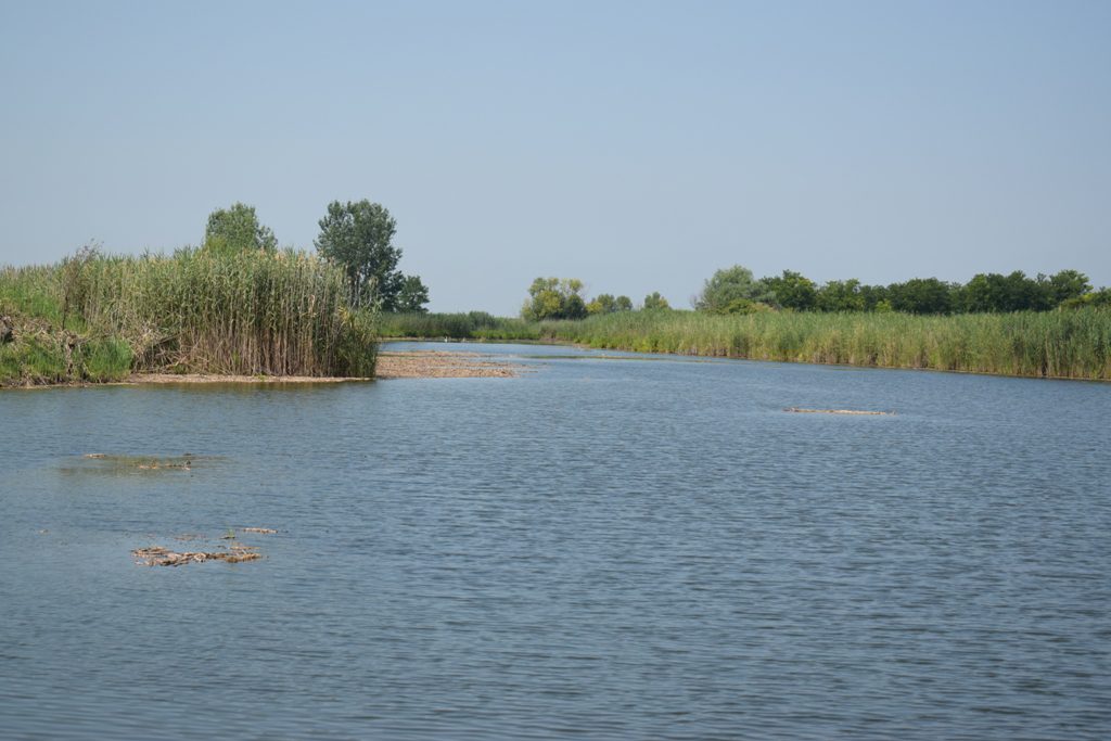 ????????????????????????????????????