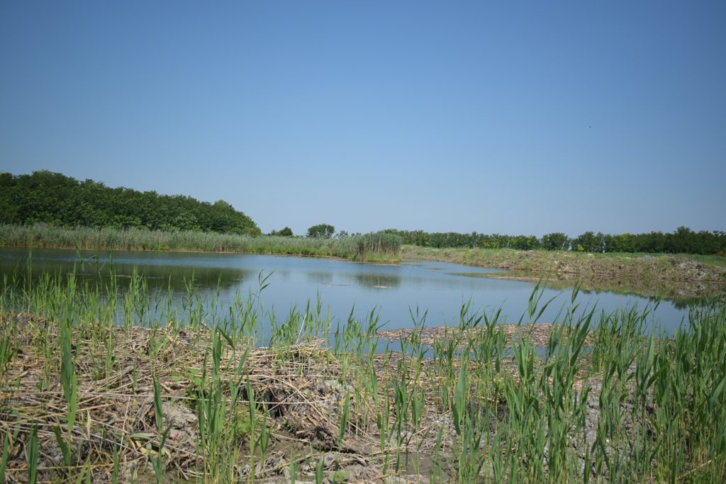 ????????????????????????????????????