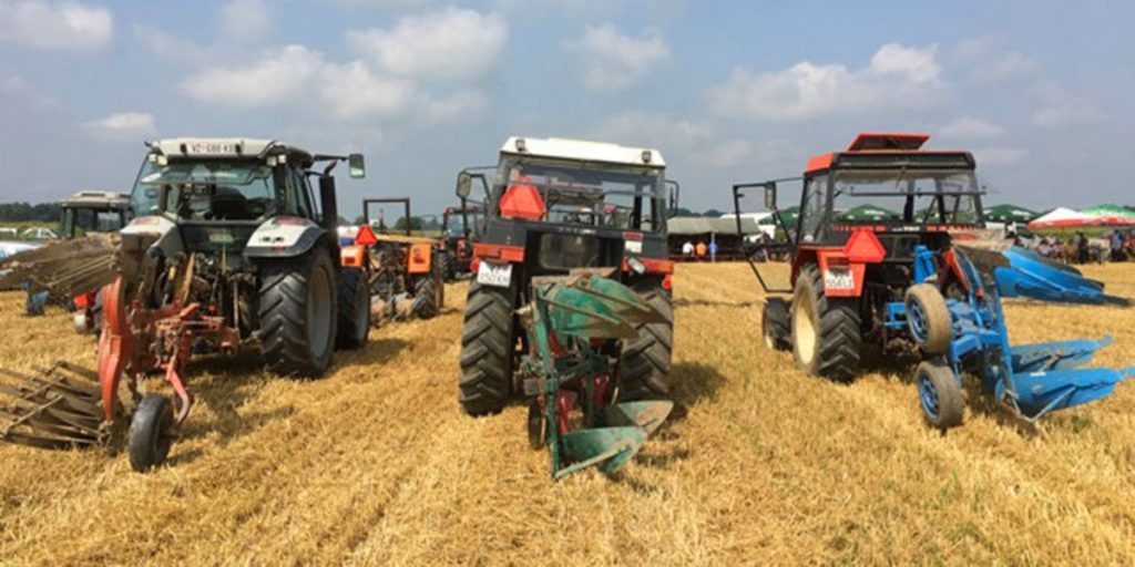 250716oranje2625385-98490ab21b5a5630fa0d4e38077a843c_view_article_new