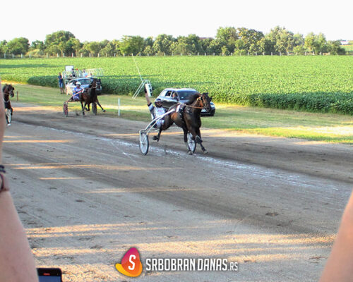 Petrovdanska trka Srbobran 2023