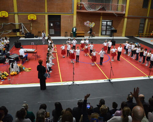 Dan Osnovne škole "Petar Drapšin"