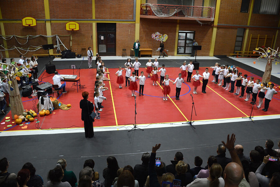 Dan Osnovne škole "Petar Drapšin"