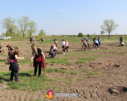 Pošumljena "Lenkina papuča" u Turiji
