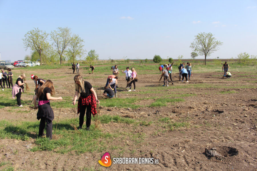 Pošumljena "Lenkina papuča" u Turiji