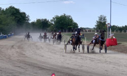 Vožena je prva kasačka trka