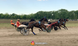 Vožena je prva kasačka trka