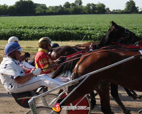 Arena TV prenosi trke iz Srbobrana