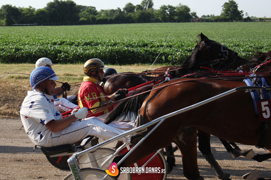 Arena TV prenosi trke iz Srbobrana