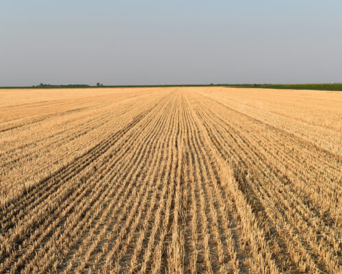 IZDAVANJE U ZAKUP POLJOPRIVREDNOG ZEMLJIŠTA