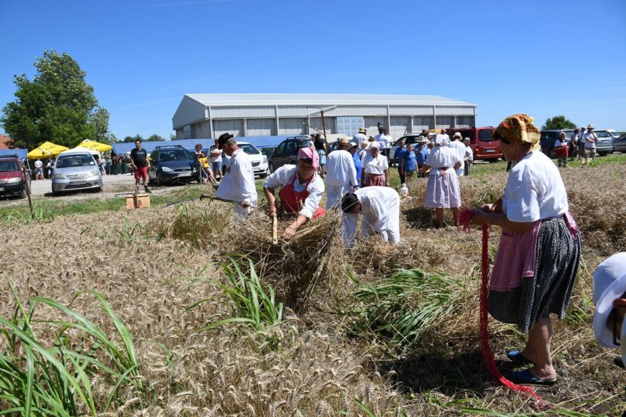 Žetvene svečanosti u Srbobranu 27. put