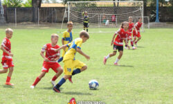 Memorijal "Nebojša Bojović Bojke" Fudbalski klub "Mladost" Turija