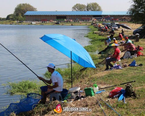 Srbobran ponovo bio domaćin Državnog prvenstva u ribolovu