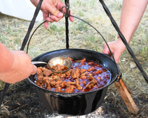 Srbobranska kotlićijada 2025- prava turistička manifestacija