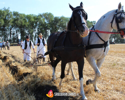 Srbobranska brazda 2025: Tradicija se ne napušta