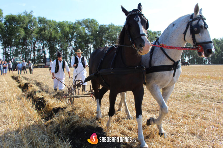 Srbobranska brazda 2025: Tradicija se ne napušta