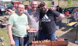 Prasicijada Srbobran