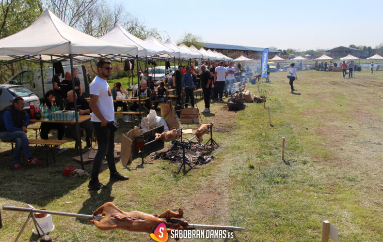 Prasicijada Srbobran