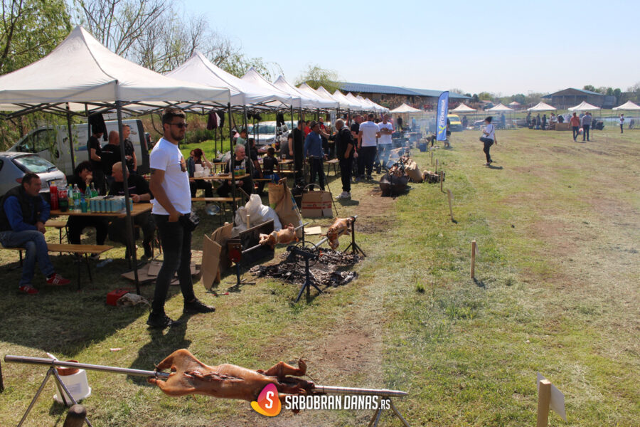 Prasicijada Srbobran