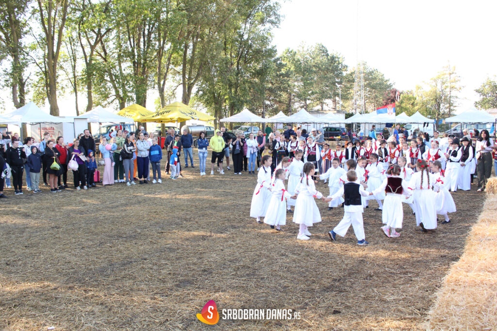 Srbobranska brazda 2026: Tradicija duga 27 godina